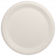 Karat Earth Eco-friendly 10″ Bagasse Round Plate Case